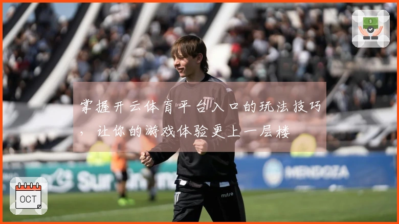 掌握开云体育平台入口的玩法技巧，让你的游戏体验更上一层楼