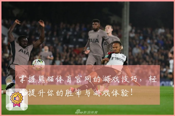 掌握熊猫体育官网的游戏技巧，轻松提升你的胜率与游戏体验！