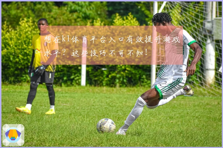想在k1体育平台入口有效提升游戏水平？这些技巧不可不知！