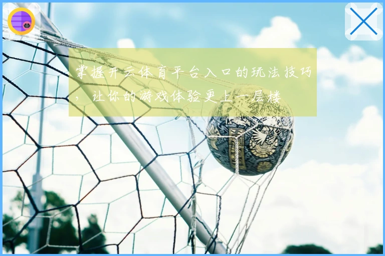 掌握开云体育平台入口的玩法技巧，让你的游戏体验更上一层楼